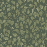 Hängbjörk Evergreen Vine Wallpaper by A-Street Prints - 4201-20108