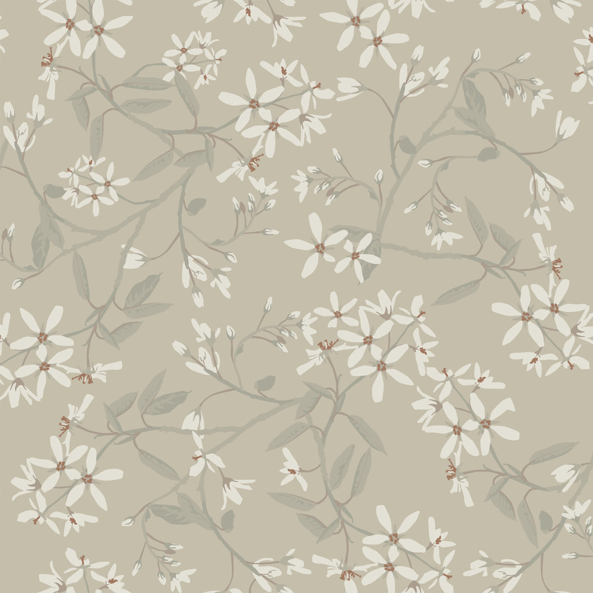Paradis Grey Bouquet Toss Wallpaper by A-Street Prints - delicate white star-shaped blossoms with sage green leaves on a warm greige non woven background, SKU 4201-20113