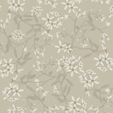 Paradis Grey Bouquet Toss Wallpaper by A-Street Prints - delicate white star-shaped blossoms with sage green leaves on a warm greige non woven background, SKU 4201-20113