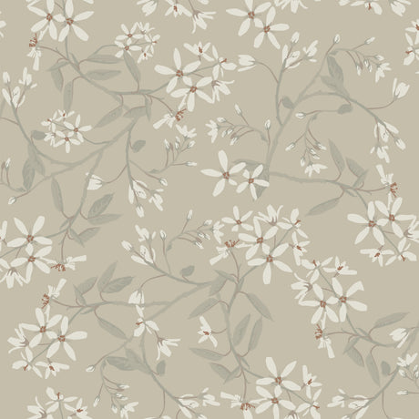 Paradis Grey Bouquet Toss Wallpaper by A-Street Prints - delicate white star-shaped blossoms with sage green leaves on a warm greige non woven background, SKU 4201-20113