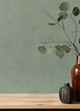 Cullen Sage Faux Linen Texture by A-Street Prints Springhill Collection Unpasted Vinyl Non Woven Strippable Transitional Wallpaper - 4202-408171