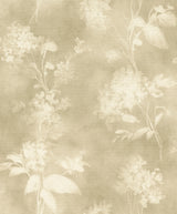 Izara Light Green Botanical Wallpaper by A-Street Prints featuring soft cream pressed flower and leaf silhouettes on a dappled light green background