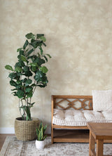 Izara Beige by A-Street Prints Botanical Farmhouse Pressed Flower Silhouette Extra Washable Strippable Non Woven Wallpaper Roll - 4202-481419