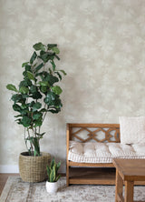 Izara Light Grey Pressed Flower Botanical Farmhouse Silhouette Sidewall Wallpaper by A-Street Prints Springhill Collection - 4202-481457