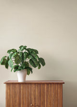Naim Ivory by A-Street Prints Transitional Solid Woven Texture Unpasted Strippable Vinyl on Non Woven Wallpaper Springhill - 4202-484519