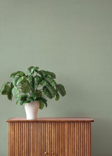 Naim Sage Solid Texture by A-Street Prints Transitional Woven Wallpaper - A-Street Prints 4202-484588