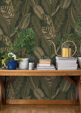 Acacius Dark Green by A-Street Prints Tropical Botanical Foliage Vinyl Non-Woven Metallic Wallpaper Springhill Collection - 4202-751826