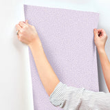 Dotty Lavender by Advantage Petite Polka Dot Wallpaper – Brewster Home Fashions 4203-27579