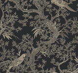 Regal Ridge Black Trailing Tree Wallpaper by Ronald Redding - 4211-83570 - Close-up of intricate black background wallpaper featuring illustrated berry-laden trees and parrots in taupe and beige tones