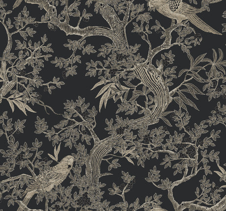 Regal Ridge Black Trailing Tree Wallpaper by Ronald Redding - 4211-83570 - Close-up of intricate black background wallpaper featuring illustrated berry-laden trees and parrots in taupe and beige tones