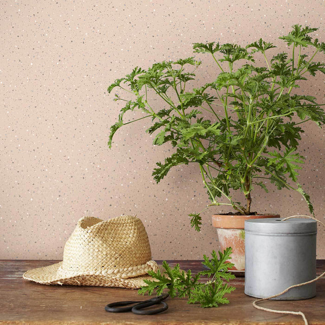 Johan Petal by Boråstapeter Splatter-Paint Dotted Wallpaper – Schumacher 4512
