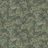 Waldemar Spruce wallpaper by Boråstapeter for Schumacher, lush leafy green botanical pattern on wall