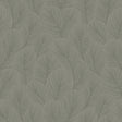 Pine Tree wallpaper in sage green by Boråstapeter for Schumacher, featuring an allover feathery pine needle pattern.