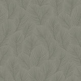 Pine Tree wallpaper in sage green by Boråstapeter for Schumacher, featuring an allover feathery pine needle pattern.