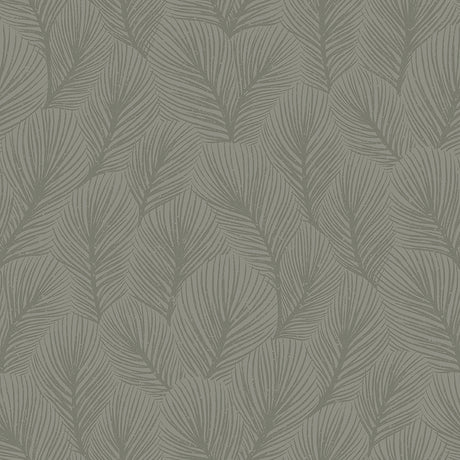 Pine Tree wallpaper in sage green by Boråstapeter for Schumacher, featuring an allover feathery pine needle pattern.