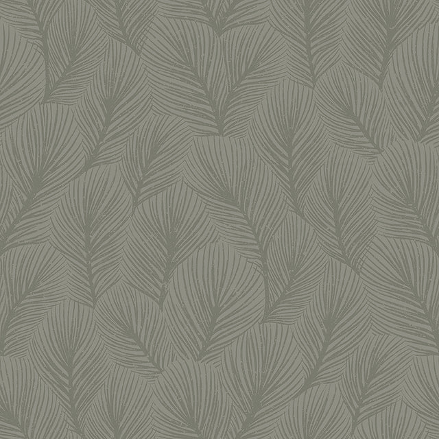 Pine Tree wallpaper in sage green by Boråstapeter for Schumacher, featuring an allover feathery pine needle pattern.