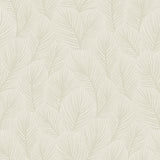 Pine Tree wallpaper in a natural colorway featuring an allover pattern of feathery pine needles by Boråstapeter for Schumacher.