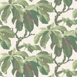 KASTANJ Leaf wallpaper by Boråstapeter for Schumacher featuring large-scale stylized chestnut branches in green on a light background