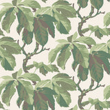 KASTANJ Leaf wallpaper by Boråstapeter for Schumacher featuring large-scale stylized chestnut branches in green on a light background