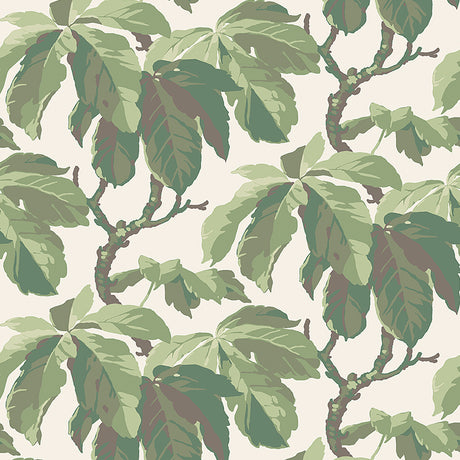 KASTANJ Leaf wallpaper by Boråstapeter for Schumacher featuring large-scale stylized chestnut branches in green on a light background