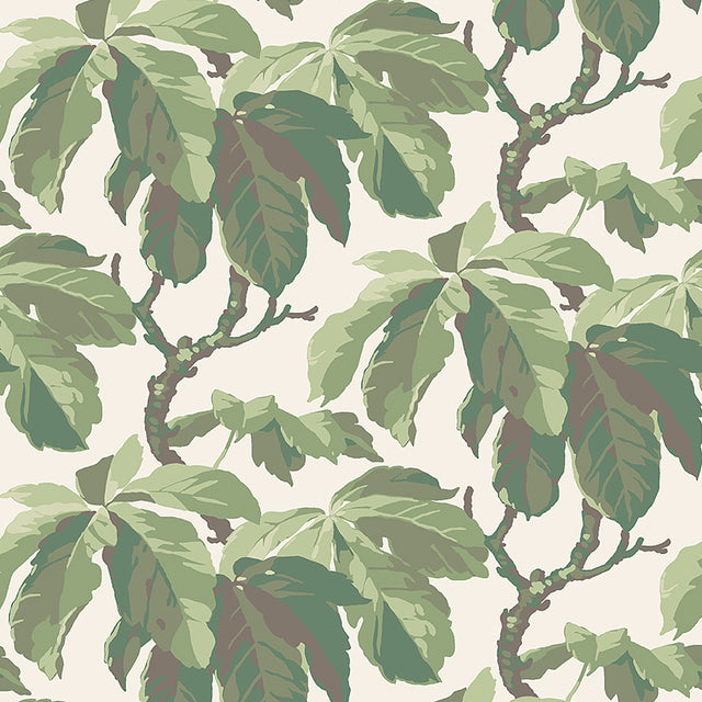KASTANJ Leaf wallpaper by Boråstapeter for Schumacher featuring large-scale stylized chestnut branches in green on a light background