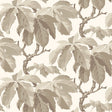 KASTANJ wallpaper in Stone by Boråstapeter for Schumacher, featuring large-scale stylized chestnut branches in neutral tones.