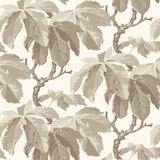 KASTANJ wallpaper in Stone by Boråstapeter for Schumacher, featuring large-scale stylized chestnut branches in neutral tones.