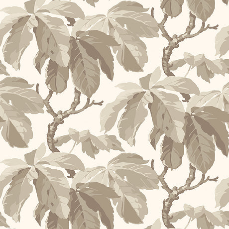 KASTANJ wallpaper in Stone by Boråstapeter for Schumacher, featuring large-scale stylized chestnut branches in neutral tones.