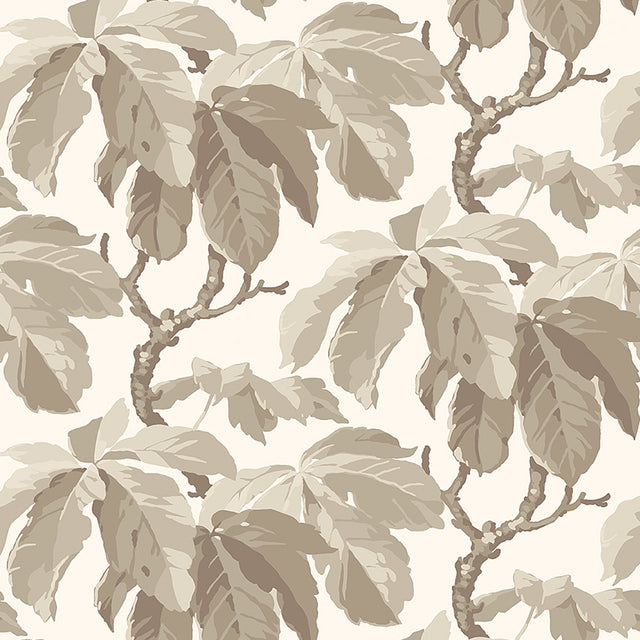KASTANJ wallpaper in Stone by Boråstapeter for Schumacher, featuring large-scale stylized chestnut branches in neutral tones.