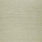 Suwon Sisal Aqua natural grasscloth wallcovering by Schumacher, showing refined sisal texture and elegant sheen.