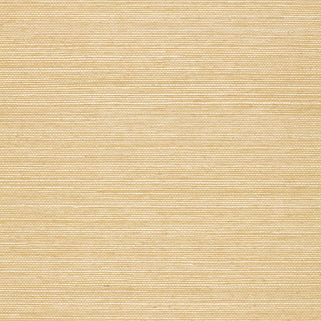 ONNA SISAL beige natural grasscloth wallcovering by Schumacher