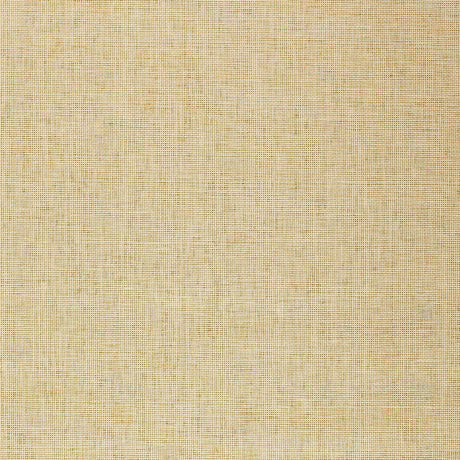MITSU WEAVE in Gold, a natural-fiber weave wallpaper with a subtle metallic ground by Schumacher.