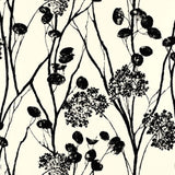 Moonpennies wallpaper in black and ivory by Schumacher, featuring a botanical silhouette pattern.