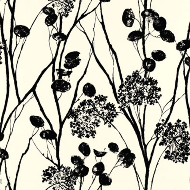Moonpennies wallpaper in black and ivory by Schumacher, featuring a botanical silhouette pattern.