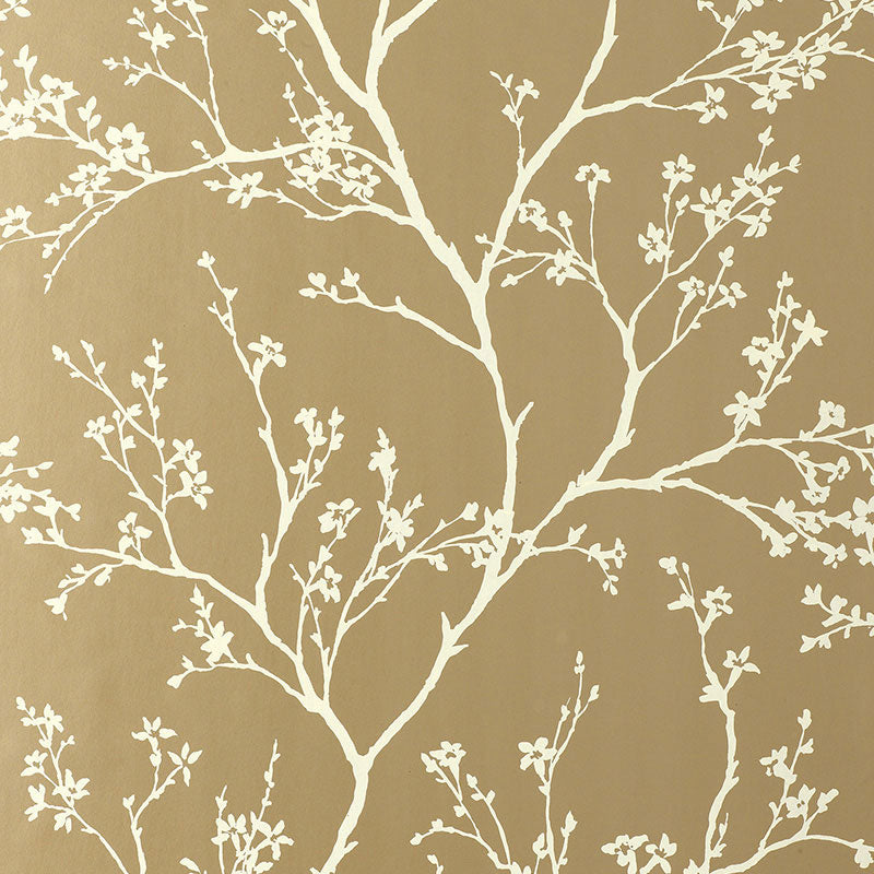 Twiggy Champagne wallpaper by Schumacher featuring delicate flowering branches silhouetted against a champagne background.
