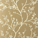 Twiggy Champagne wallpaper by Schumacher featuring delicate flowering branches silhouetted against a champagne background.