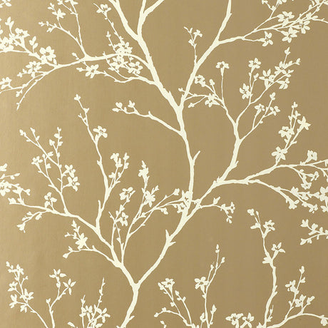 Twiggy Champagne wallpaper by Schumacher featuring delicate flowering branches silhouetted against a champagne background.