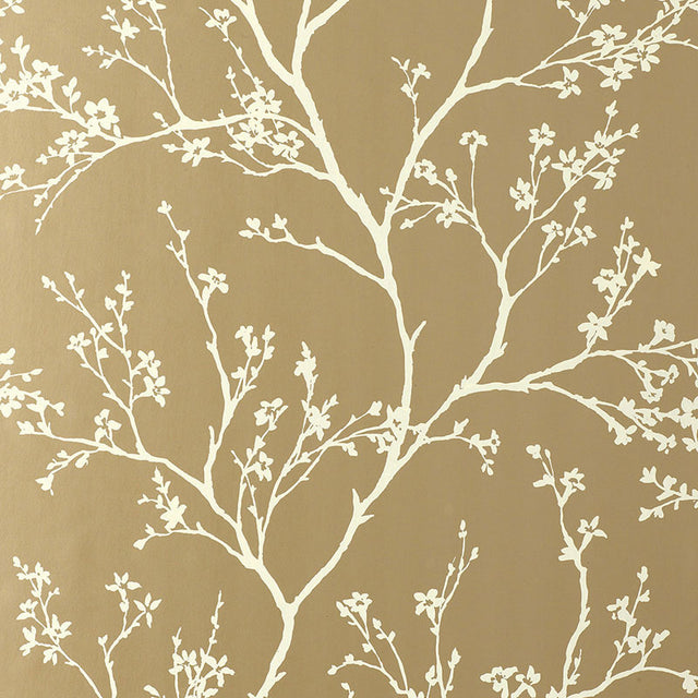 Twiggy Champagne wallpaper by Schumacher featuring delicate flowering branches silhouetted against a champagne background.