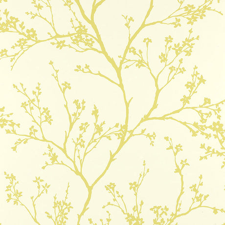 Twiggy Soft Chartreuse wallpaper by Schumacher featuring delicate flowering branches on a light background.