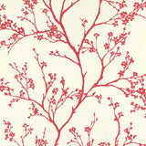 Twiggy wallpaper in Raspberry by Schumacher, featuring delicate flowering branches on a solid ground.