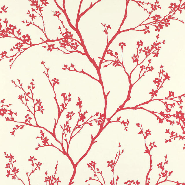 Twiggy wallpaper in Raspberry by Schumacher, featuring delicate flowering branches on a solid ground.
