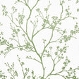 Twiggy green wallpaper by Schumacher featuring delicate flowering branches silhouetted against a white background.