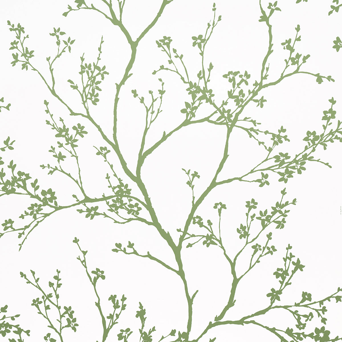 Twiggy green wallpaper by Schumacher featuring delicate flowering branches silhouetted against a white background.
