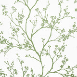 Twiggy green wallpaper by Schumacher featuring delicate flowering branches silhouetted against a white background.