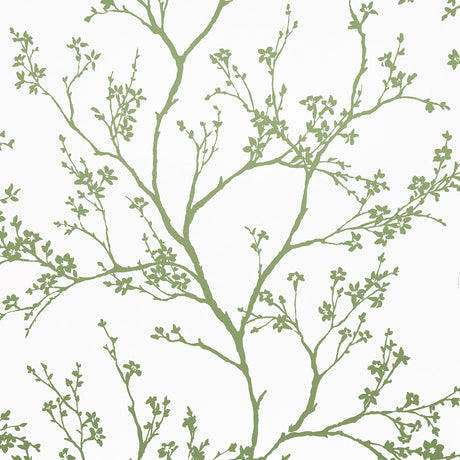 Twiggy green wallpaper by Schumacher featuring delicate flowering branches silhouetted against a white background.
