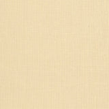 Adhafera Ground oatmeal handcrafted wallcovering by Schumacher, close-up texture view