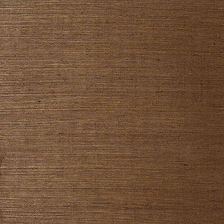 Linyi Ground Chestnut wallcovering by Schumacher - close-up texture view
