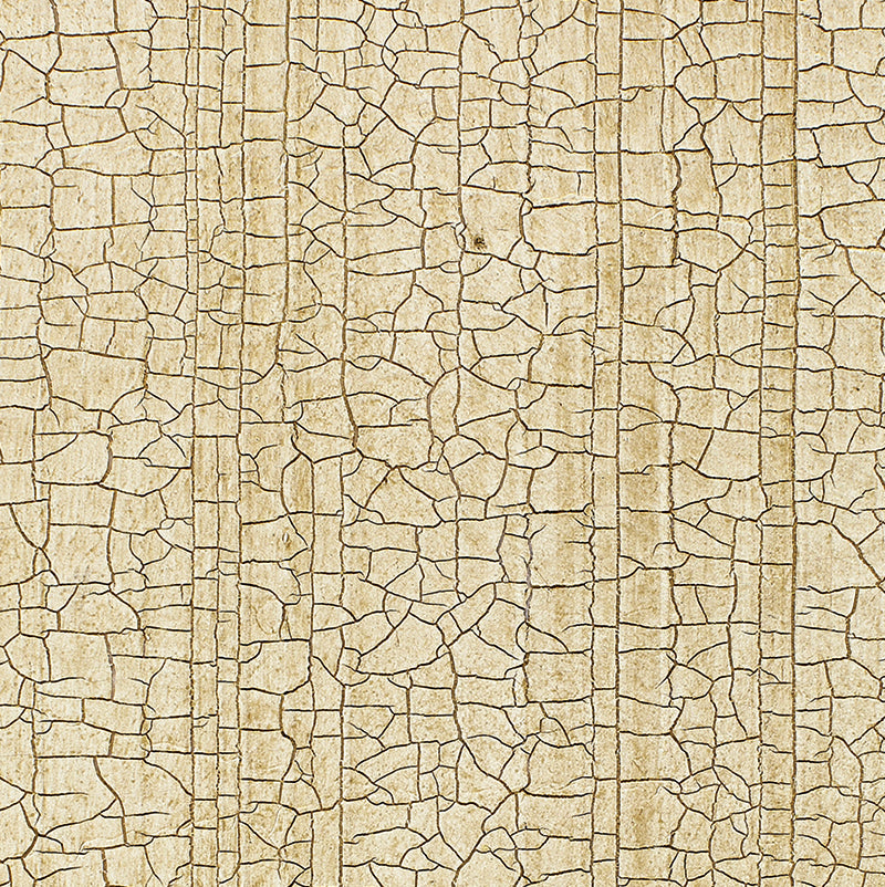 Masaccio Ground Champagne by Schumacher - crackled faux finish non-woven wallpaper in gold and neutral tones