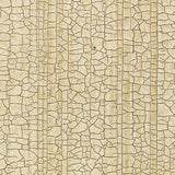Masaccio Ground Champagne by Schumacher - crackled faux finish non-woven wallpaper in gold and neutral tones