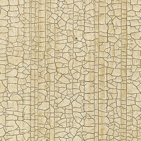 Masaccio Ground Champagne by Schumacher - crackled faux finish non-woven wallpaper in gold and neutral tones